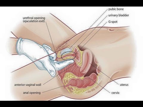 كيف يفض الزوج بكارة زوجته بالصور 1826