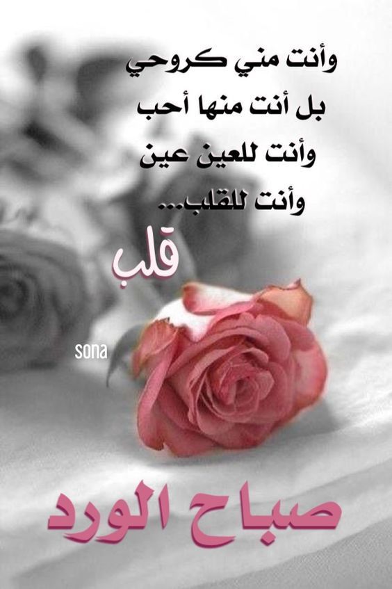 صور للصباح جميله 10587 4