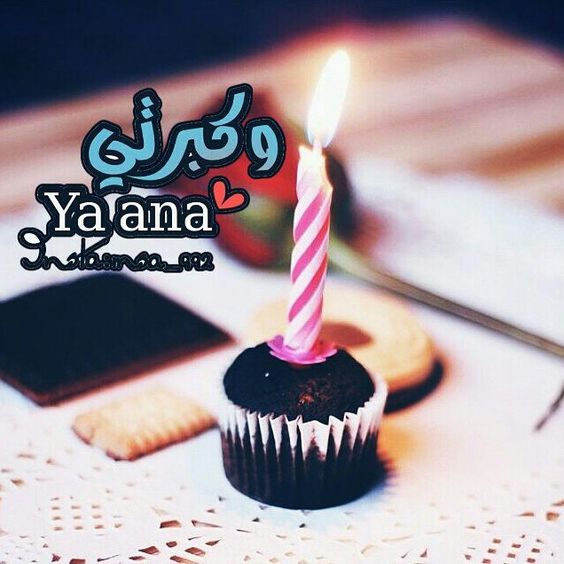 صور عن عيد ميلادي - اجمل يوم فى حياتى 6265