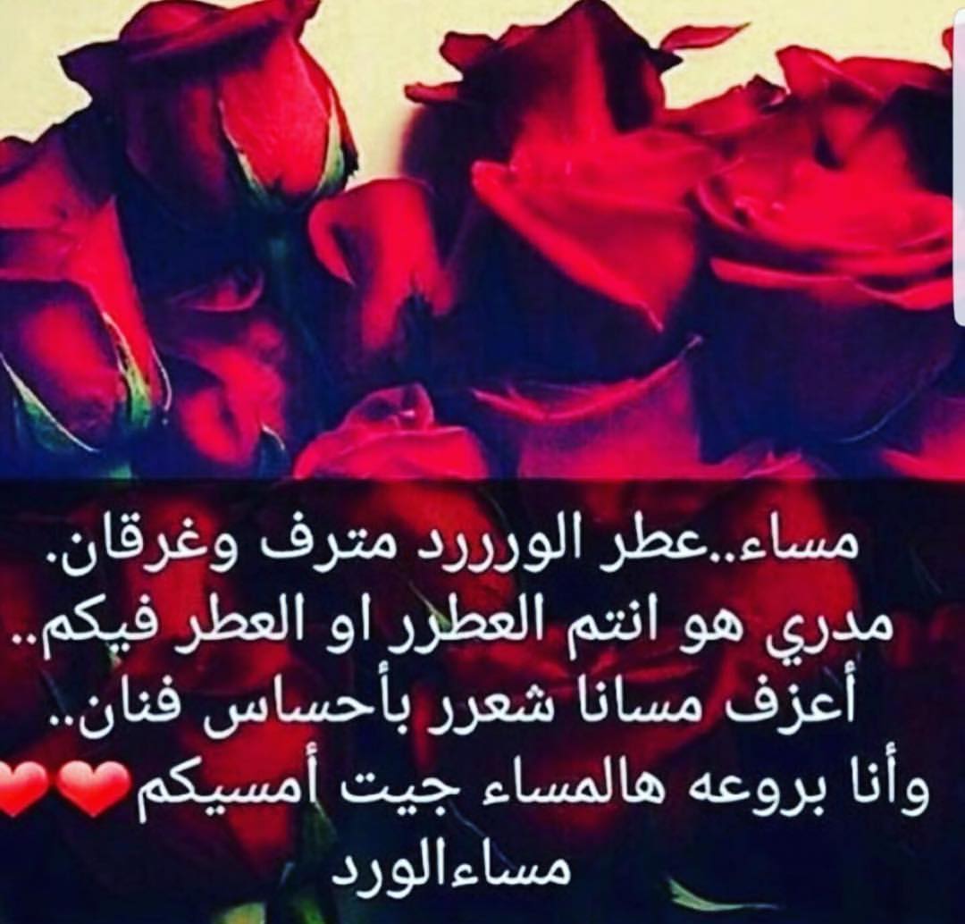 اجمل مساء الخير شعر 5484 10