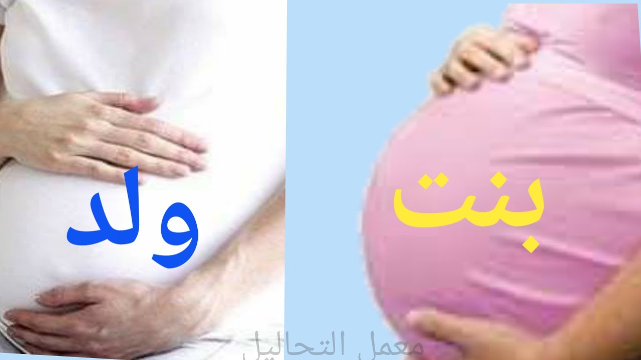 شكل بطن الحامل ببنت او ولد بالصور 3261 8