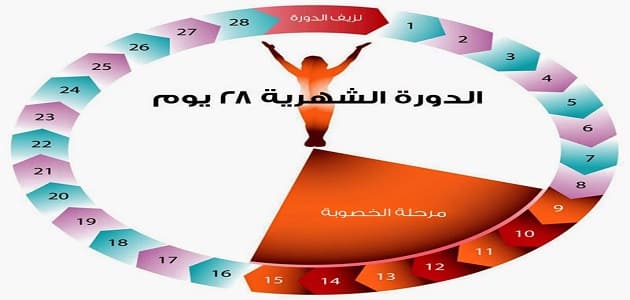 الايام المناسبة للحمل بعد الدورة الشهرية 1694 2