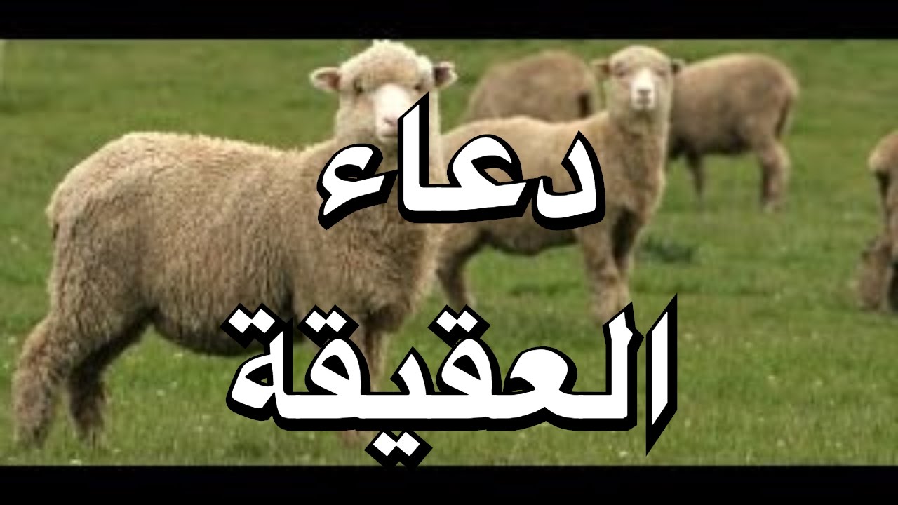 دعاء العقيقة 120