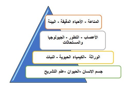 ما هي البيولوجيا- معنى بيولوجيا 11494 1