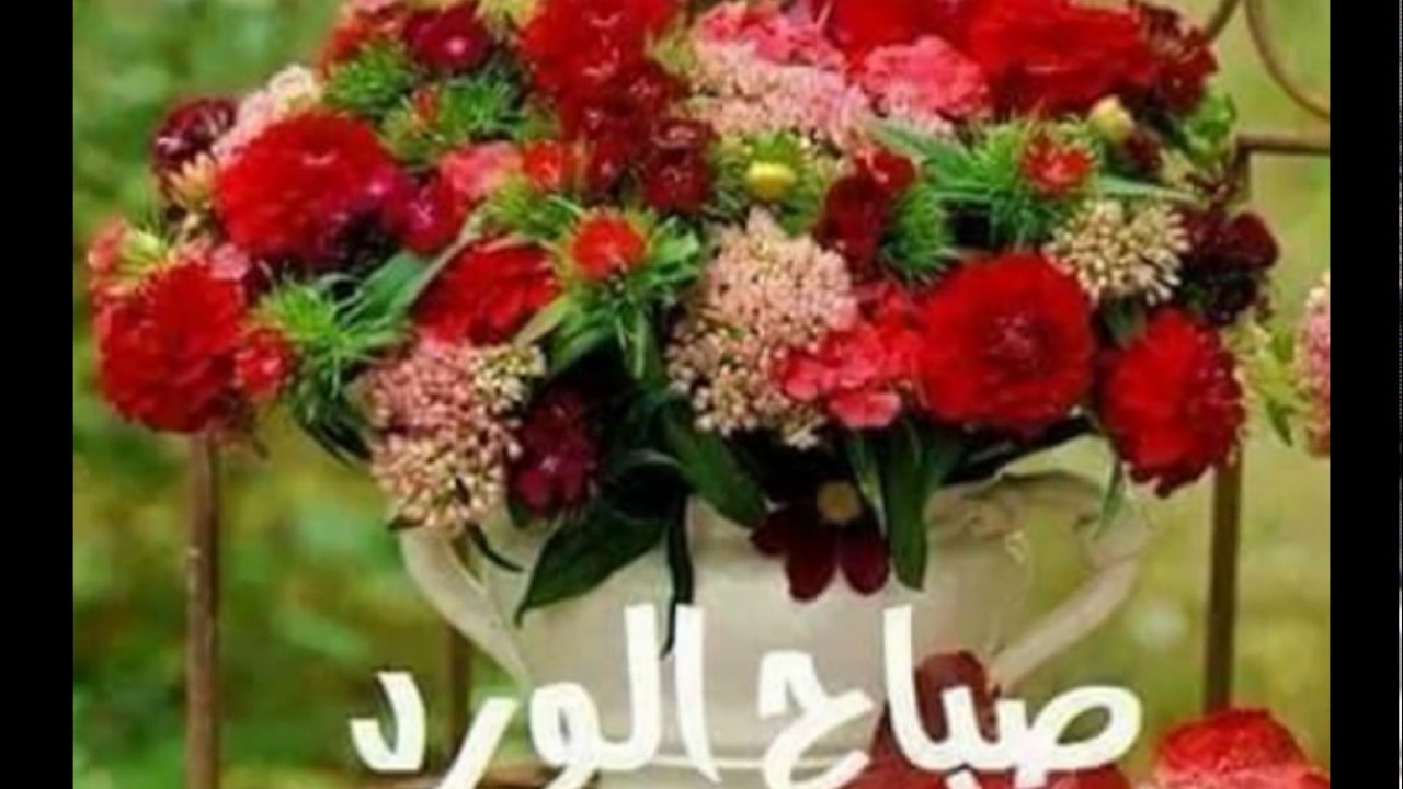 صباح الخير مصري 10778 2