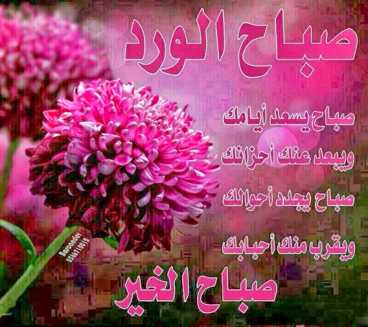 صور للصباح جميله 10587 11