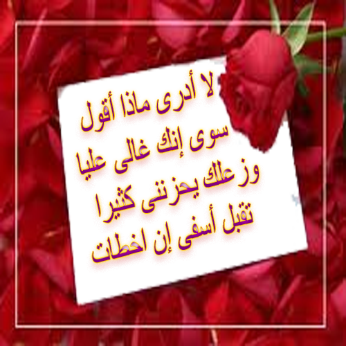 كلمات اعتذار للحبيب 1077