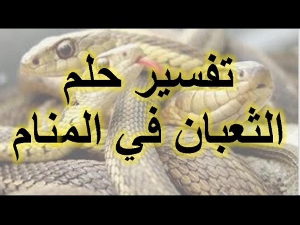 تفسير رؤية الثعبان في المنام- دورت كثير اوي لغايه ماوصلت للتفسير ده 755 3