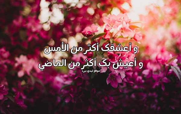 رسائل رومانسية جامدة 1094 8