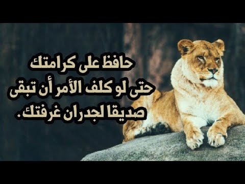 حكم من ذهب - اقوال وعبر عظيمه 2871 3