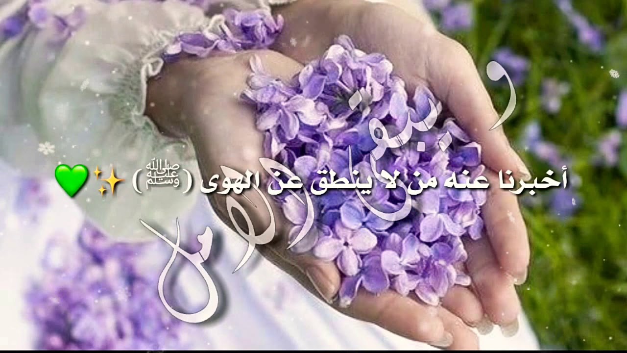 حالات واتس اب حلوه مزخرفه -حالات واتس مختلفه وغريبه اووووي 1525 3