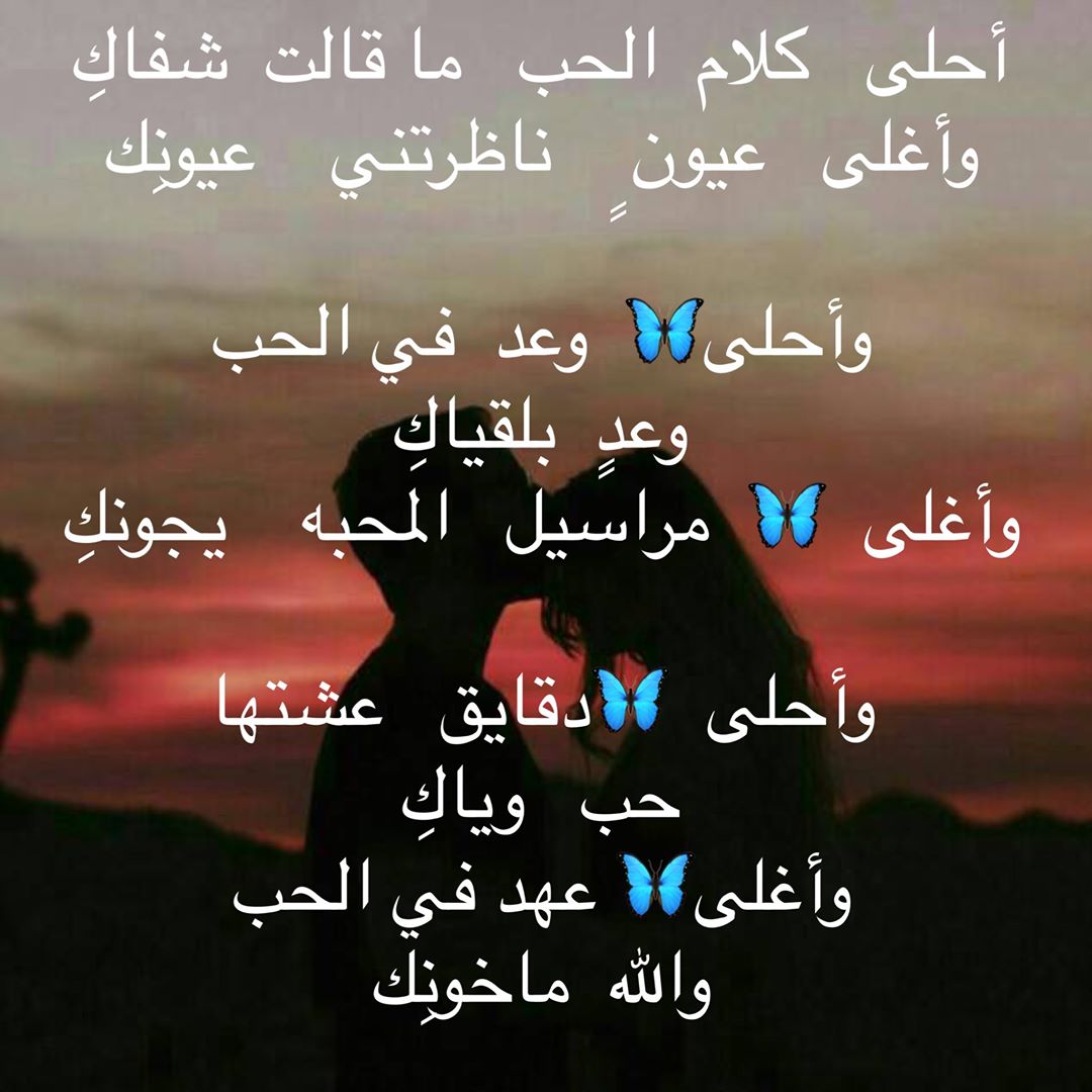 احلى كلام حب 4435 6