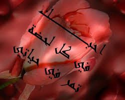 كلمات حب رومانسية - اجمل الكلمات الرومانسيه 331 12