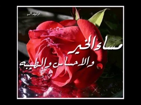 رمزيات مساء الخير , صور عن احلي مساء