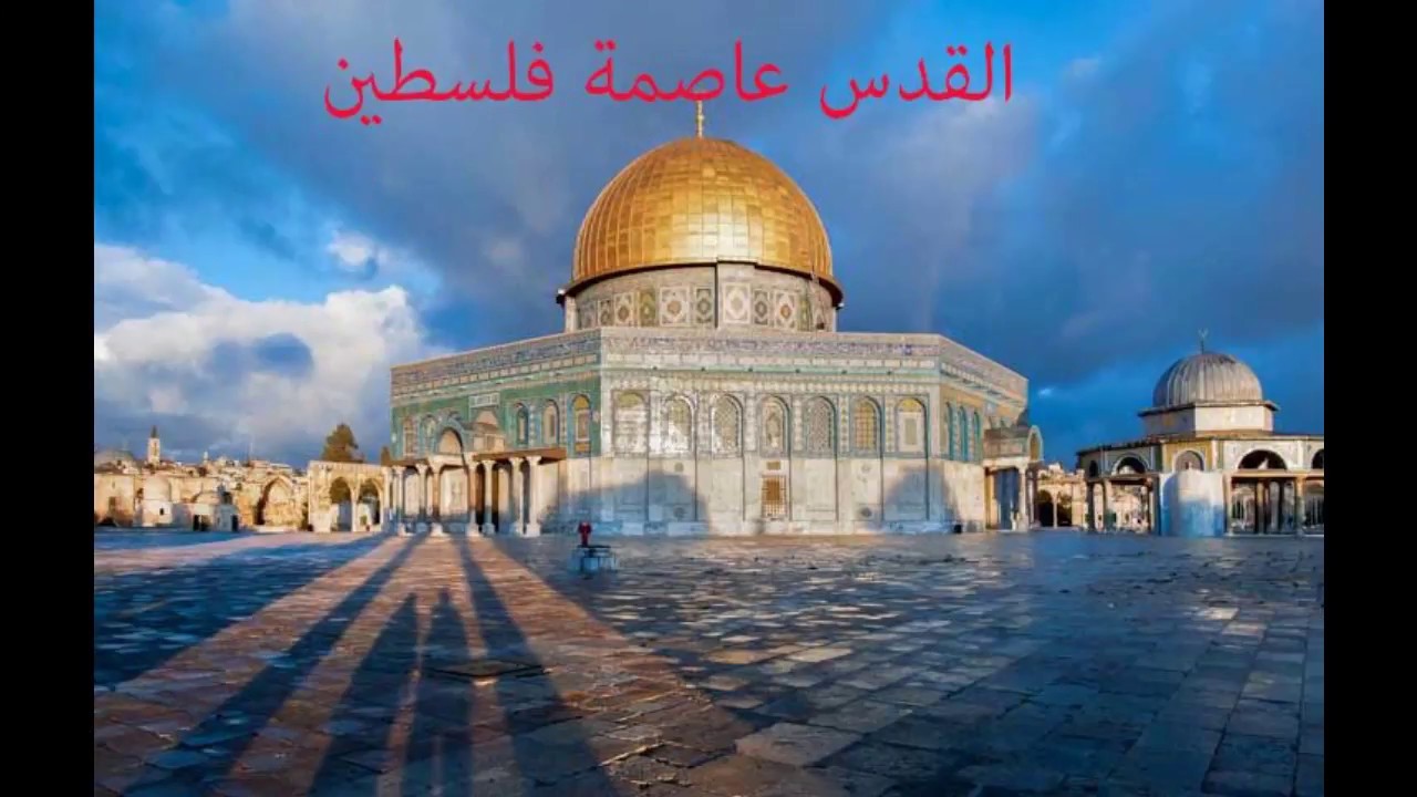 شعر عن فلسطين - اجمل الكلامات لفلسطين الابيه بالفصحى 5010 7