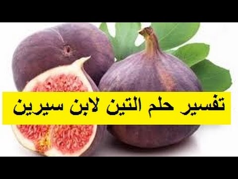 تفسير احلام التين - التين في المنام 11780