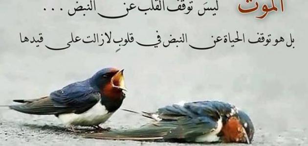 شعر حزين عن الموت , اجمل الاشعار الحزينة