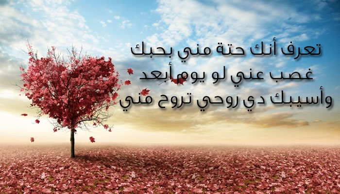 صور مكتوب عليها كلام حب جديد