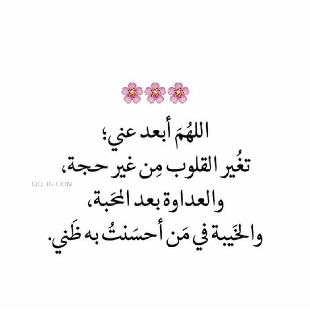 شعر عن الدنيا 4538 4