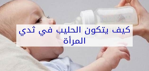 كيف يتكون حليب الام 11265