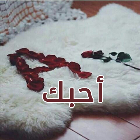 صور كلمة احبك - خلفيات Ilove You رائعه 3016 3