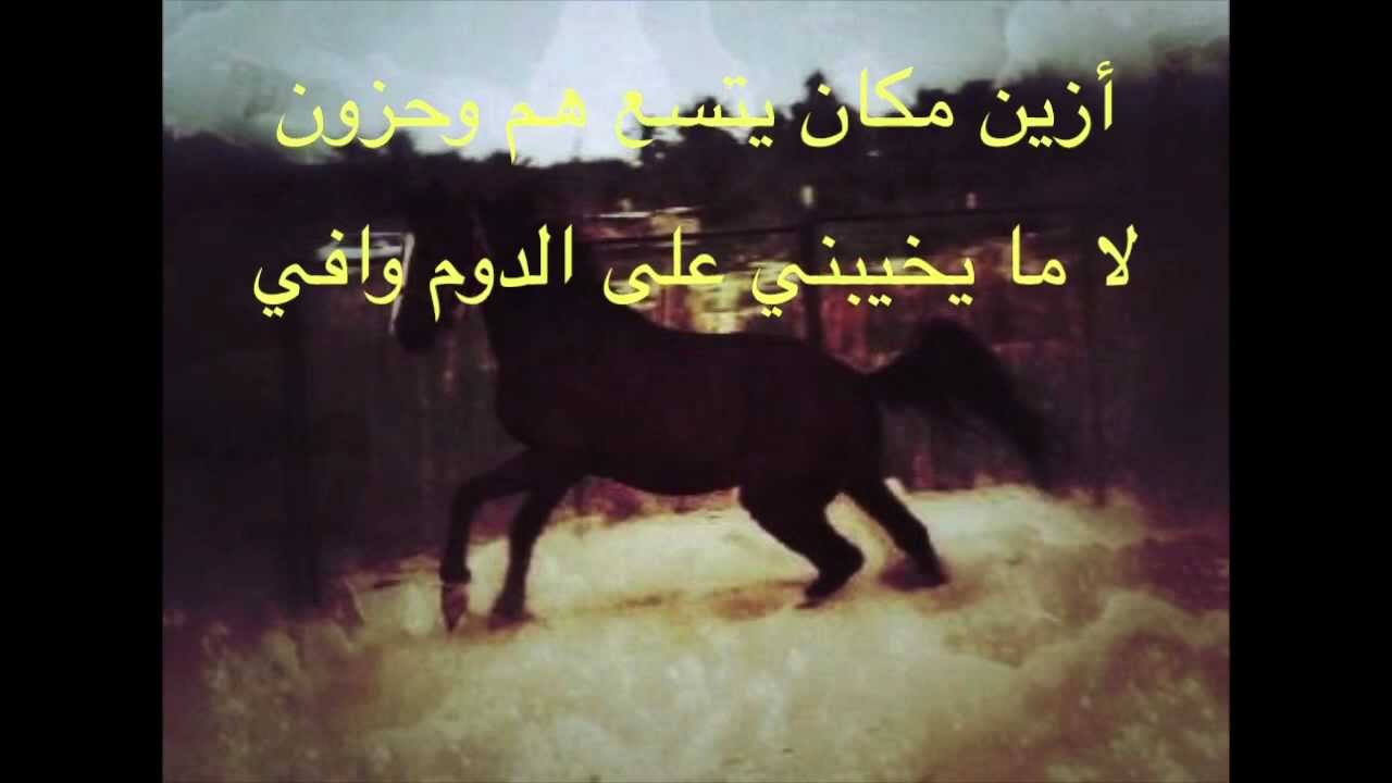 شعر عن الخيل - اجمل ما قيل عن الخيل فى اشعار 4967 2