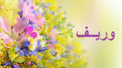 اسم وريف بالانجليزي- معنى اسم وريف 10951