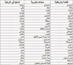 كلمات بالتركي - عبارات ومصطلحات تركية 237 10