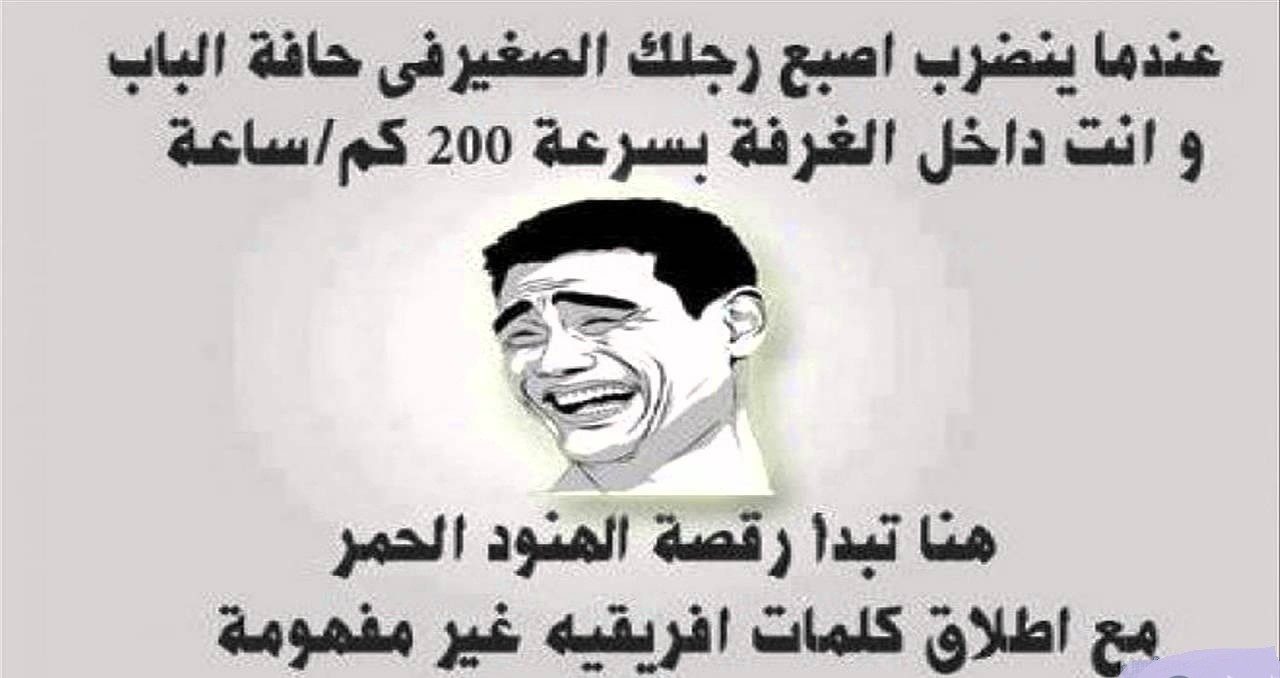 نكت محششين جديده 4411 2