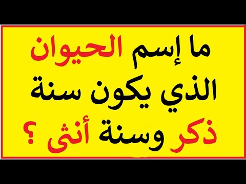 الغاز مغربية صعبة مع الحل- لغز صع و حله 11452 4