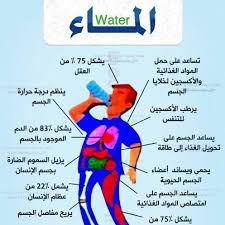 برنامج رجيم لتخفيف الوزن , افضل طريقة تخسيس