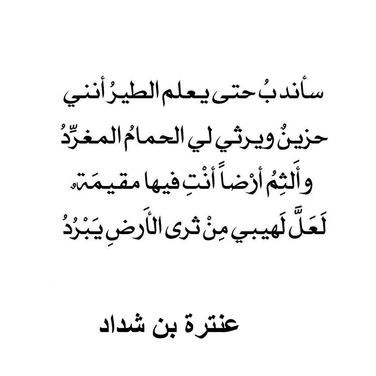 شعر عربي فصيح - شعر فصيح باعذب الكلمات 5243 8