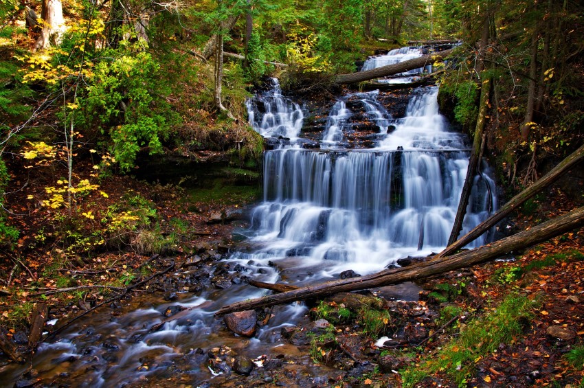 صور طبيعة جميلة - صور حدائق رائعة 3856 9