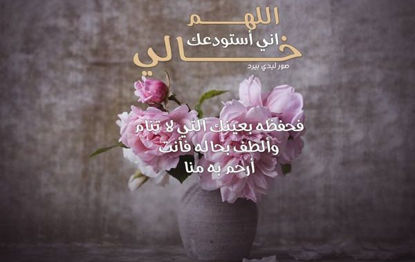 صور عن الخال 5573 4