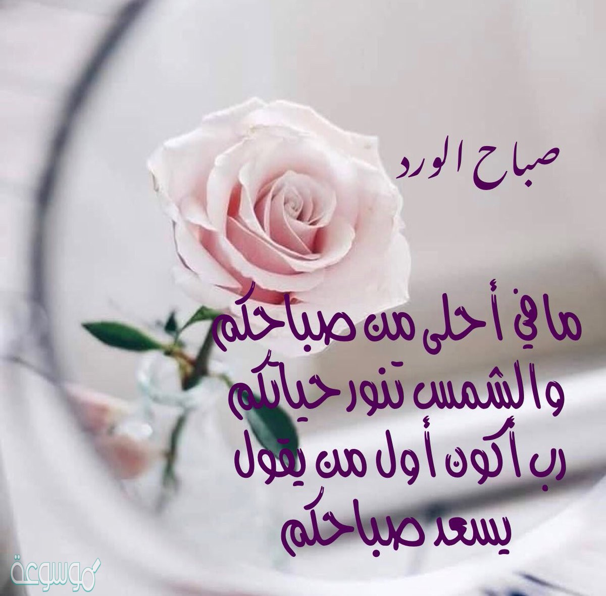 كلمات الصباح للحبيب 5696 8