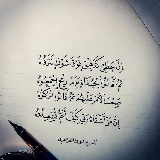 شعر عن الدنيا 4538 1