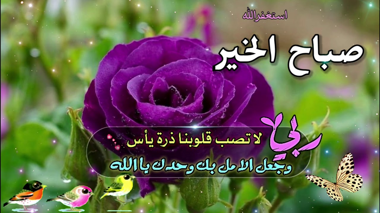 كلام عن صباح الخير- عبارات رائعه جدا ومميزه عن الصباح 2019 11