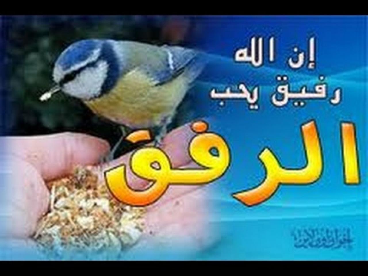 صور عن الرفق- رمزيات وبوستات وخلفيات كيوت جدا عن الرفق 703 11