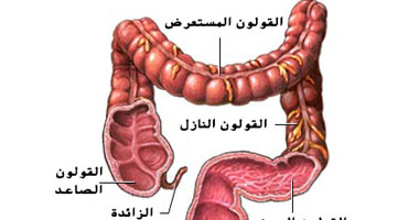 اعراض القولون العصبي المزمن - التعامل مع مرض القولون العصبي 11901 1