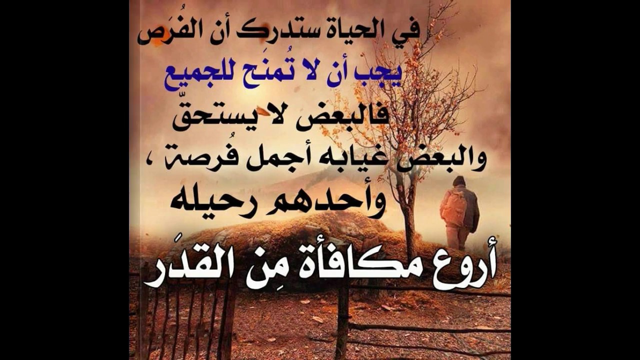 حكمة اليوم عن الصداقة 11513 8