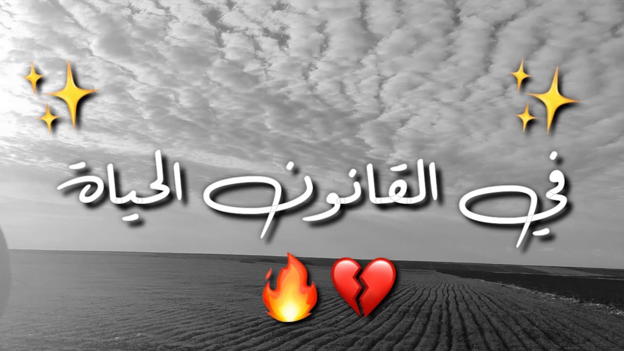 شعر عن الدنيا 4538 2