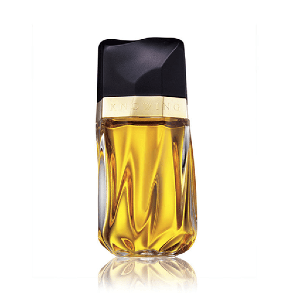 عطر استي لودر- عطر كله اثاره ومتعه 954