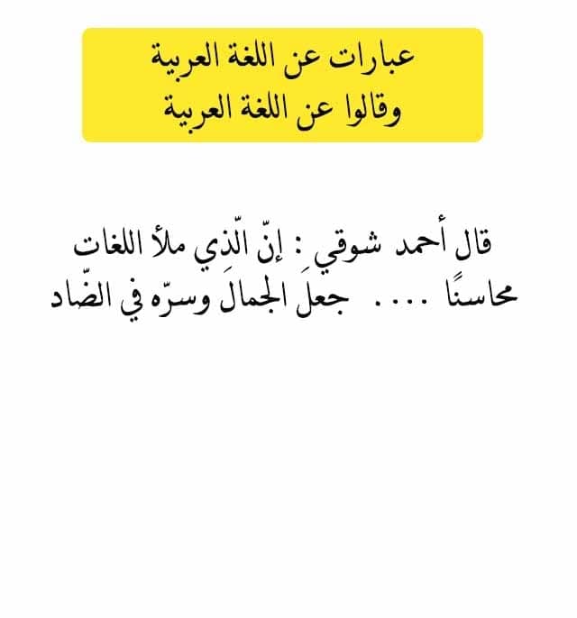 صور عن اللغة العربية - اجمل لغات العالم لغة الضاد 5007 6