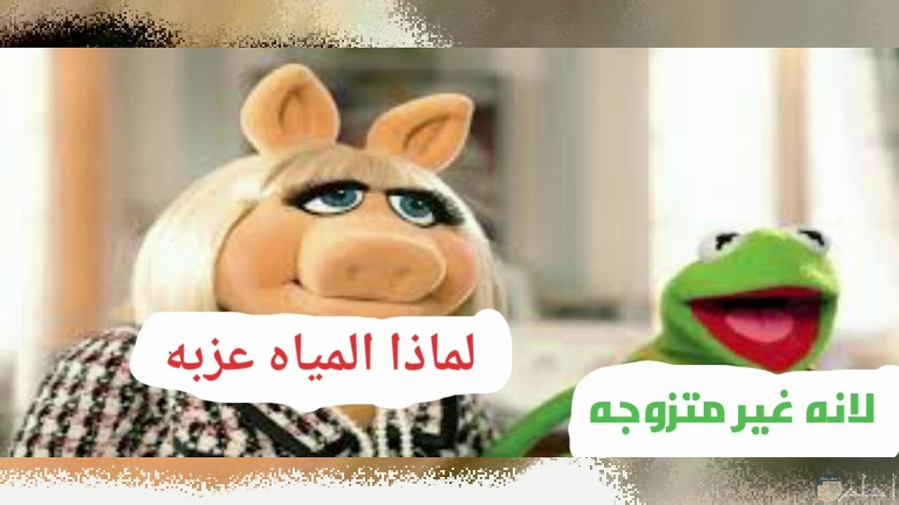 الصور المضحكة الجديدة 4543 6