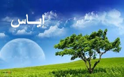 معنى اسم اياس - احدث اسماء اولاد 2384 1