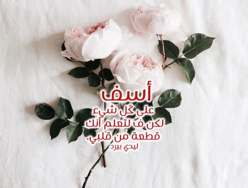 كلمات اعتذار للحبيب 1077 1