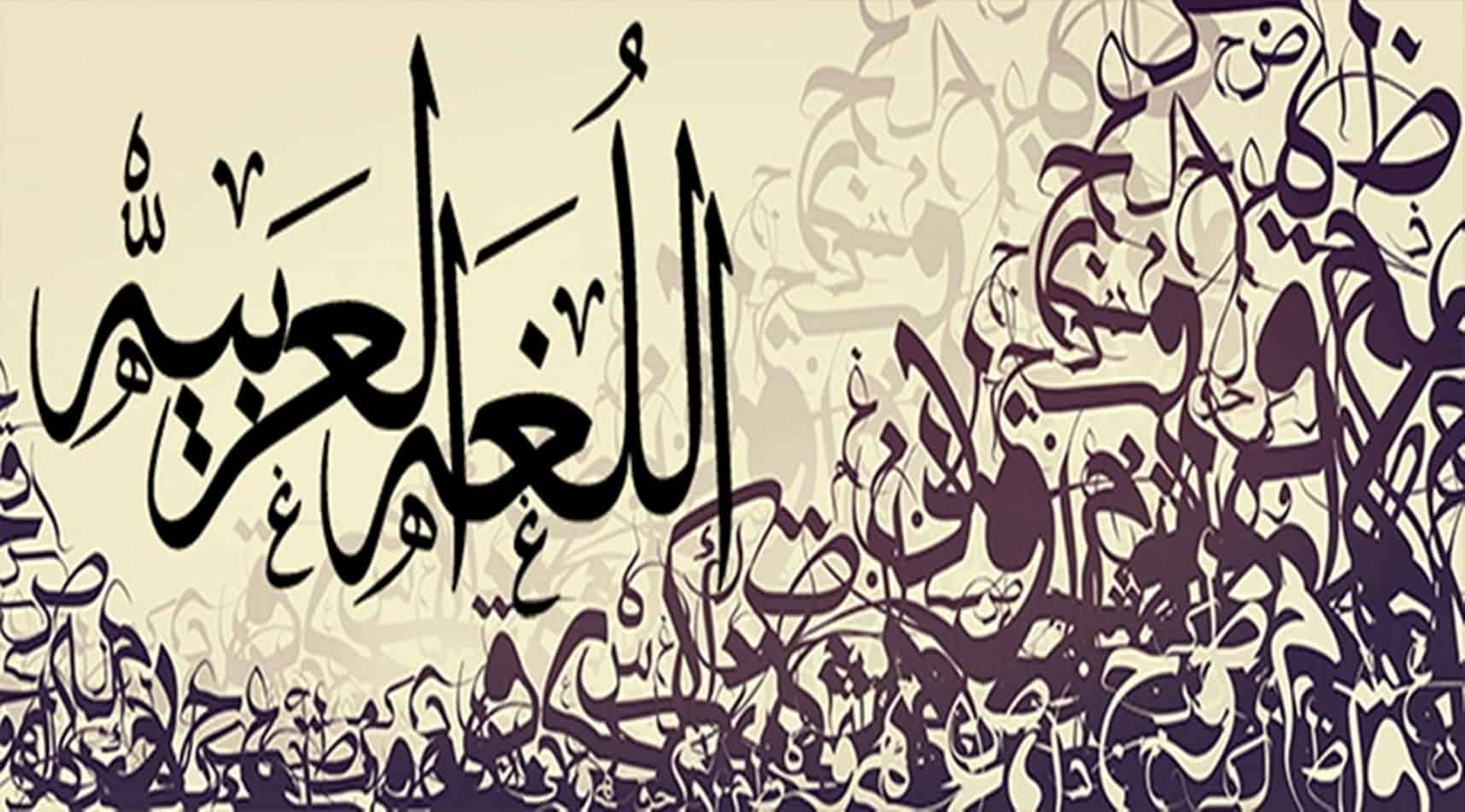 معلومات عن اللغه العربيه - معلومات لاتعرفها عن اللغه العربيه 4718 2