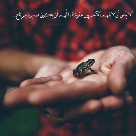 رمزيات وصور كشخه 1108 5