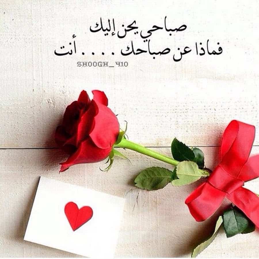 رسالة صباحية للحبيب 5582 6