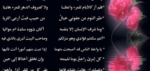 اجمل ابيات الشعر , قصيد جميلة وسهلة